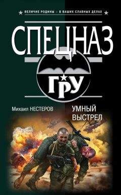 Михаил Нестеров - Умный выстрел - Читать | Читать онлайн | Читаемые книги читать онлайн бесплатно | booksread-online.com