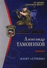 Александр Тамоников - Взлет «Стрелы» - Читать 📖 Читать онлайн 👀 Читаемые книги читать онлайн бесплатно 🔥 booksread-online.com