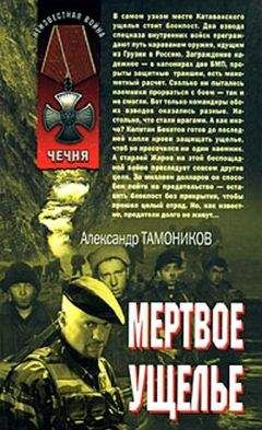 Александр Тамоников - Мертвое ущелье - Читать | Читать онлайн | Читаемые книги читать онлайн бесплатно | booksread-online.com