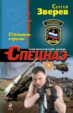 Сергей Зверев - Стальные стрелы - Читать 📖 Читать онлайн 👀 Читаемые книги читать онлайн бесплатно 🔥 booksread-online.com