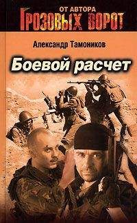 Александр Тамоников - Боевой расчет - Читать 📖 Читать онлайн 👀 Читаемые книги читать онлайн бесплатно 🔥 booksread-online.com