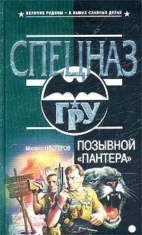 Михаил Нестеров - Позывной «Пантера» - Читать | Читать онлайн | Читаемые книги читать онлайн бесплатно | booksread-online.com