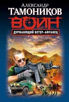 Александр Тамоников - Дурманящий ветер-афганец - Читать | Читать онлайн | Читаемые книги читать онлайн бесплатно | booksread-online.com