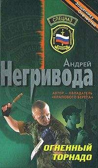 Андрей Негривода - Огненный торнадо - Читать 📖 Читать онлайн 👀 Читаемые книги читать онлайн бесплатно 🔥 booksread-online.com