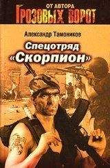 Александр Тамоников - Спецотряд «Скорпион» - Читать | Читать онлайн | Читаемые книги читать онлайн бесплатно | booksread-online.com