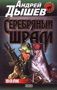 Андрей Дышев - Серебряный шрам - Читать 📖 Читать онлайн 👀 Читаемые книги читать онлайн бесплатно 🔥 booksread-online.com