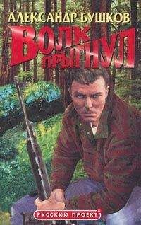 Александр Бушков - Волк прыгнул - Читать 📖 Читать онлайн 👀 Читаемые книги читать онлайн бесплатно 🔥 booksread-online.com