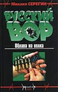 Михаил Серегин - Облава на волка - Читать 📖 Читать онлайн 👀 Читаемые книги читать онлайн бесплатно 🔥 booksread-online.com