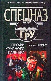 Михаил Нестеров - Профи крупного калибра - Читать | Читать онлайн | Читаемые книги читать онлайн бесплатно | booksread-online.com