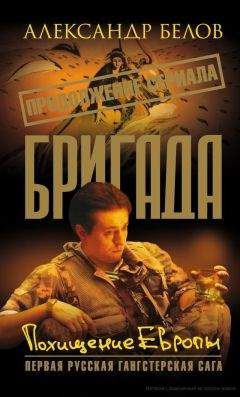 Александр Белов - Бригада 16. Похищение европы - Читать 📖 Читать онлайн 👀 Читаемые книги читать онлайн бесплатно 🔥 booksread-online.com
