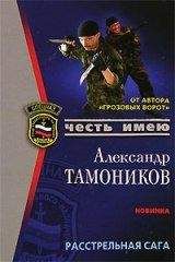 Александр Тамоников - Расстрельная сага - Читать 📖 Читать онлайн 👀 Читаемые книги читать онлайн бесплатно 🔥 booksread-online.com