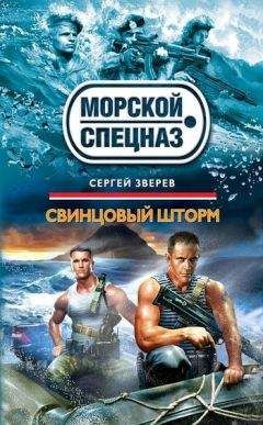 Сергей Зверев - Свинцовый шторм - Читать 📖 Читать онлайн 👀 Читаемые книги читать онлайн бесплатно 🔥 booksread-online.com