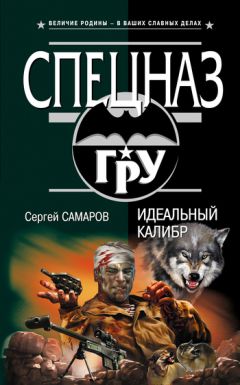 Сергей Самаров - Идеальный калибр - Читать | Читать онлайн | Читаемые книги читать онлайн бесплатно | booksread-online.com