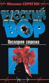 Михаил Серегин - Последняя стрелка - Читать | Читать онлайн | Читаемые книги читать онлайн бесплатно | booksread-online.com