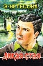 Эльмира Нетесова - Дикая стая - Читать 📖 Читать онлайн 👀 Читаемые книги читать онлайн бесплатно 🔥 booksread-online.com