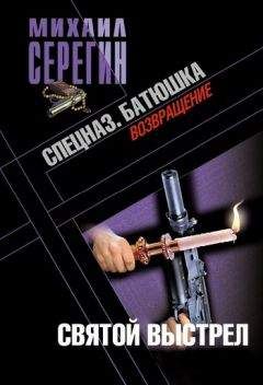 Михаил Серегин - Батюшка. Святой выстрел - Читать | Читать онлайн | Читаемые книги читать онлайн бесплатно | booksread-online.com