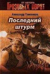 Александр Тамоников - Последний штурм - Читать 📖 Читать онлайн 👀 Читаемые книги читать онлайн бесплатно 🔥 booksread-online.com