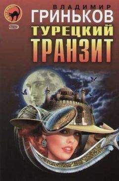 Владимир Гриньков - Турецкий транзит - Читать 📖 Читать онлайн 👀 Читаемые книги читать онлайн бесплатно 🔥 booksread-online.com