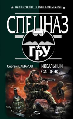 Сергей Самаров - Идеальный силовик - Читать | Читать онлайн | Читаемые книги читать онлайн бесплатно | booksread-online.com
