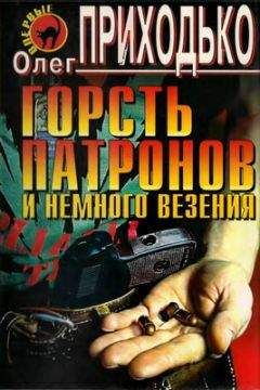 Олег Приходько - Горсть патронов и немного везения - Читать 📖 Читать онлайн 👀 Читаемые книги читать онлайн бесплатно 🔥 booksread-online.com