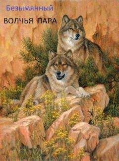 Владимир Безымянный - Волчья пара - Читать 📖 Читать онлайн 👀 Читаемые книги читать онлайн бесплатно 🔥 booksread-online.com