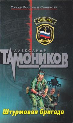 Александр Тамоников - Штурмовая Бригада - Читать 📖 Читать онлайн 👀 Читаемые книги читать онлайн бесплатно 🔥 booksread-online.com