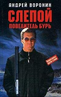 Андрей Воронин - Повелитель бурь - Читать 📖 Читать онлайн 👀 Читаемые книги читать онлайн бесплатно 🔥 booksread-online.com