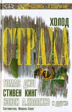 Мишель Сланг - Холод страха - Читать 📖 Читать онлайн 👀 Читаемые книги читать онлайн бесплатно 🔥 booksread-online.com