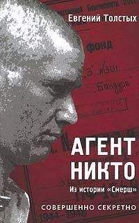 Евгений Толстых - Агент «Никто»: из истории «Смерш» - Читать | Читать онлайн | Читаемые книги читать онлайн бесплатно | booksread-online.com