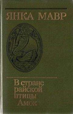 Янка Мавр - Амок - Читать 📖 Читать онлайн 👀 Читаемые книги читать онлайн бесплатно 🔥 booksread-online.com