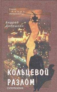 Андрей Добрынин - Кольцевой разлом - Читать 📖 Читать онлайн 👀 Читаемые книги читать онлайн бесплатно 🔥 booksread-online.com