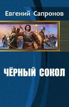 Сапронов Евгений - Чёрный сокол - Читать | Читать онлайн | Читаемые книги читать онлайн бесплатно | booksread-online.com