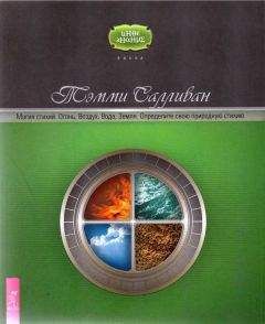 Тэмми Салливан - Магия стихий. Огонь, Воздух, Вода, Земля. Определите свою природ ную стихию - Читать 📖 Читать онлайн 👀 Читаемые книги читать онлайн бесплатно 🔥 booksread-online.com
