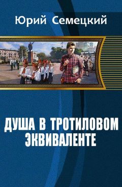 Юрий Семецкий - Душа в тротиловом эквиваленте - Читать | Читать онлайн | Читаемые книги читать онлайн бесплатно | booksread-online.com