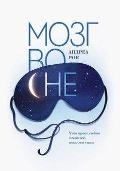 Андреа Рок - Мозг во сне - Читать | Читать онлайн | Читаемые книги читать онлайн бесплатно | booksread-online.com