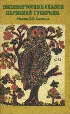 Дмитрий Зеленин - Великорусские сказки Пермской губернии - Читать 📖 Читать онлайн 👀 Читаемые книги читать онлайн бесплатно 🔥 booksread-online.com