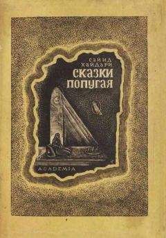 Сайид Хайдар Бахш Хайдари - Сказки попугая (Тота кахани) - Читать | Читать онлайн | Читаемые книги читать онлайн бесплатно | booksread-online.com