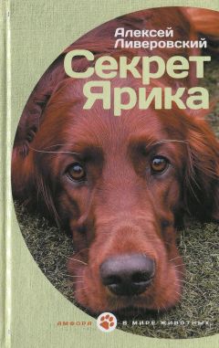 Алексей Ливеровский - Секрет Ярика - Читать | Читать онлайн | Читаемые книги читать онлайн бесплатно | booksread-online.com