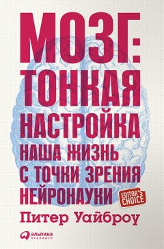 Питер Уайброу - Мозг Тонкая настройка. Наша жизнь с точки зрения нейронауки - Читать 📖 Читать онлайн 👀 Читаемые книги читать онлайн бесплатно 🔥 booksread-online.com