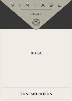 Toni Morrison - Sula - Читать 📖 Читать онлайн 👀 Читаемые книги читать онлайн бесплатно 🔥 booksread-online.com