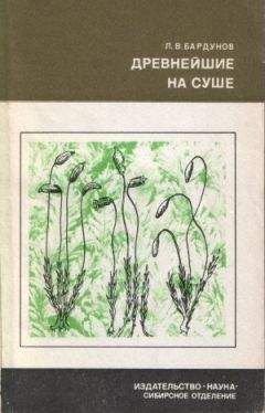 Леонид Бардунов - Древнейшие на суше - Читать | Читать онлайн | Читаемые книги читать онлайн бесплатно | booksread-online.com
