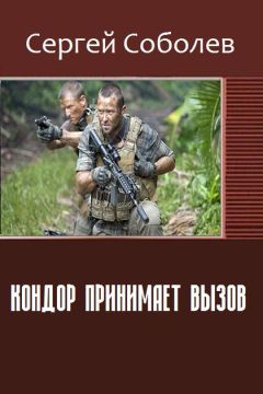 Соболев Викторович - Кондор принимает вызов - Читать | Читать онлайн | Читаемые книги читать онлайн бесплатно | booksread-online.com
