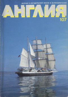 Кингсли Эмис - Что же это было? - Читать 📖 Читать онлайн 👀 Читаемые книги читать онлайн бесплатно 🔥 booksread-online.com