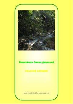 Кузнецова, Федоровна - АЯУАСКА, ВОЛШЕБНАЯ ЛИАНА ДЖУНГЛЕЙ : ДЖАТАКА О ЗОЛОТОМ КУВШИНЕ В РЕКЕ - Читать 📖 Читать онлайн 👀 Читаемые книги читать онлайн бесплатно 🔥 booksread-online.com