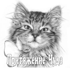 Владимир Гость - Притяжение чуда - Читать 📖 Читать онлайн 👀 Читаемые книги читать онлайн бесплатно 🔥 booksread-online.com