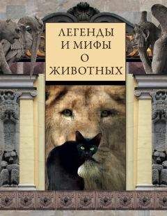 Виктория Часникова - Легенды и мифы о животных - Читать 📖 Читать онлайн 👀 Читаемые книги читать онлайн бесплатно 🔥 booksread-online.com