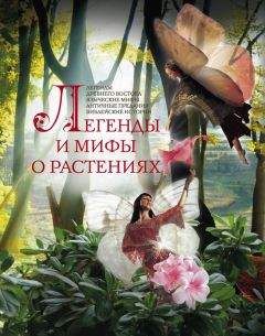 Людмила Мартьянова - Легенды и мифы о растениях. Легенды Древнего Востока, языческие мифы, античные предания, библейские истории - Читать 📖 Читать онлайн 👀 Читаемые книги читать онлайн бесплатно 🔥 booksread-online.com