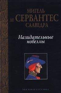 Мигель де Сервантес - Назидательные новеллы - Читать | Читать онлайн | Читаемые книги читать онлайн бесплатно | booksread-online.com