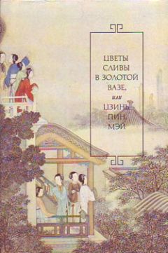 Ланьлинский насмешник - Цветы сливы в золотой вазе, или Цзинь, Пин, Мэй - Читать 📖 Читать онлайн 👀 Читаемые книги читать онлайн бесплатно 🔥 booksread-online.com
