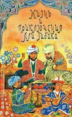 без автора - Жизнь и приключения Али Зибака - Читать 📖 Читать онлайн 👀 Читаемые книги читать онлайн бесплатно 🔥 booksread-online.com